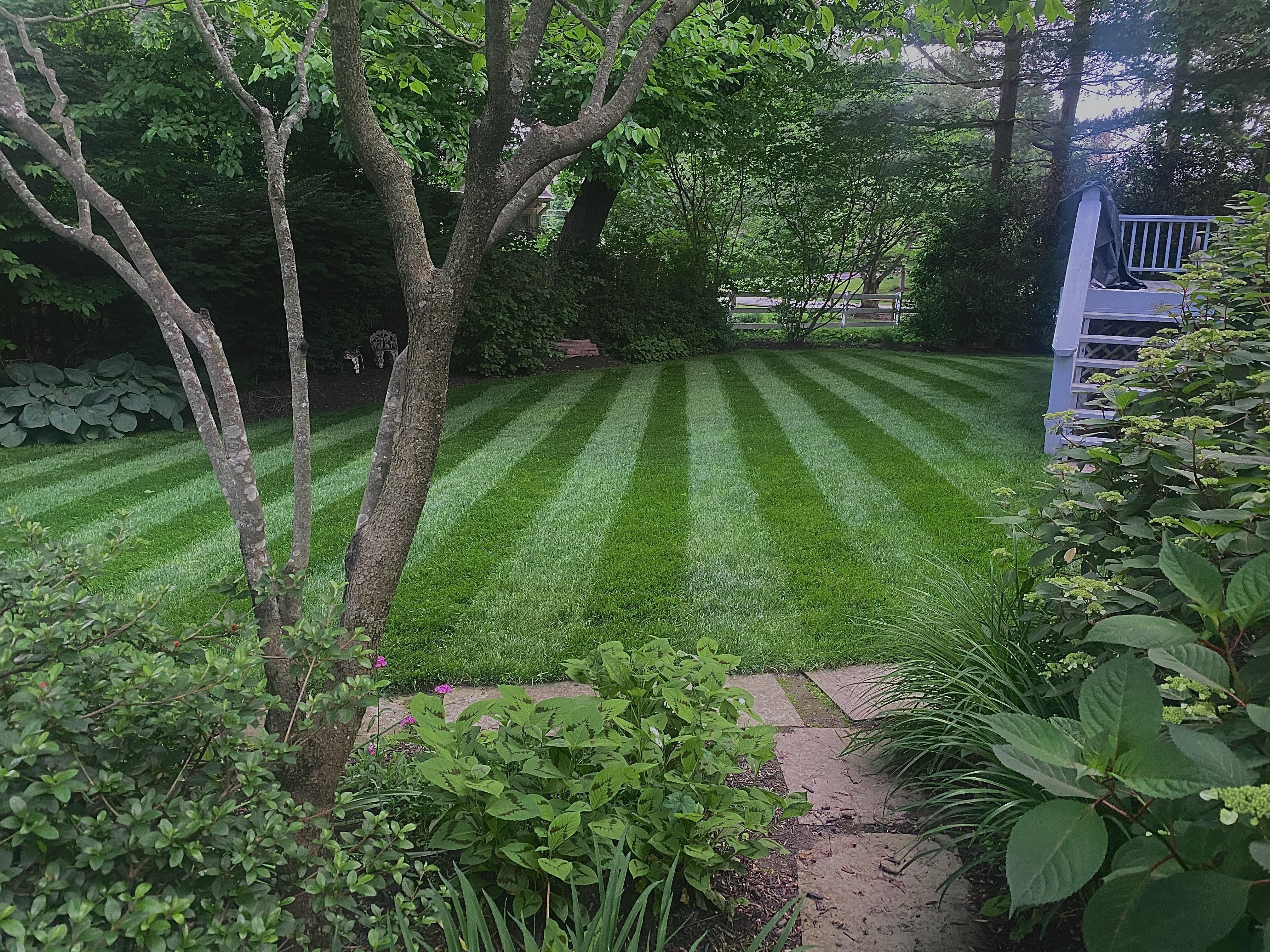Lawn Care